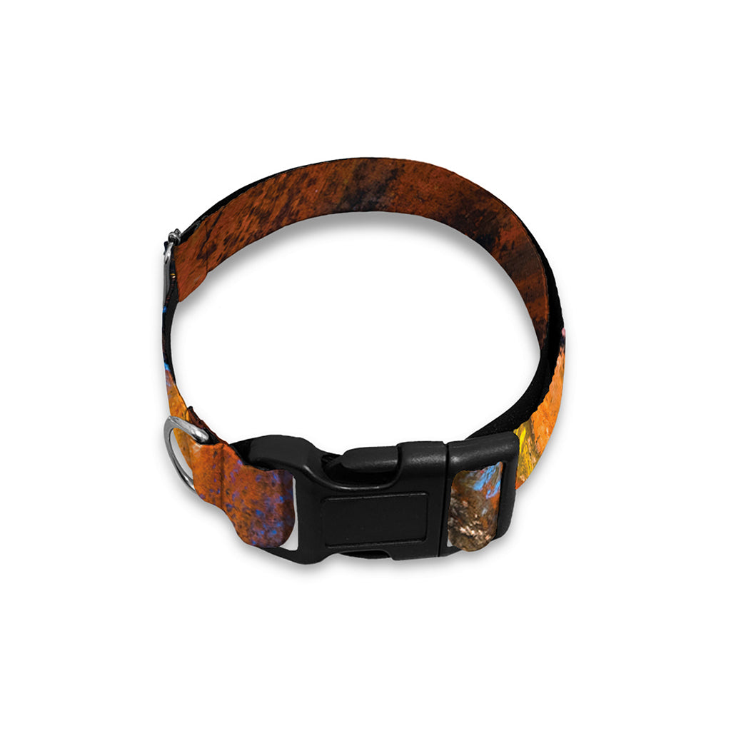 Couple Horses Painting Print Dog Collar