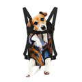 Couple Horses Painting Print Pet Carrier Backpack