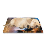 Couple Horses Painting Print Pet Cooling Mat Cover