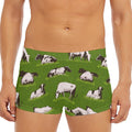 Cow On Green Grass Pattern Print Men's Short Boxer Briefs