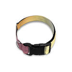 Crucifixion Of Jesus Christ Print Dog Collar