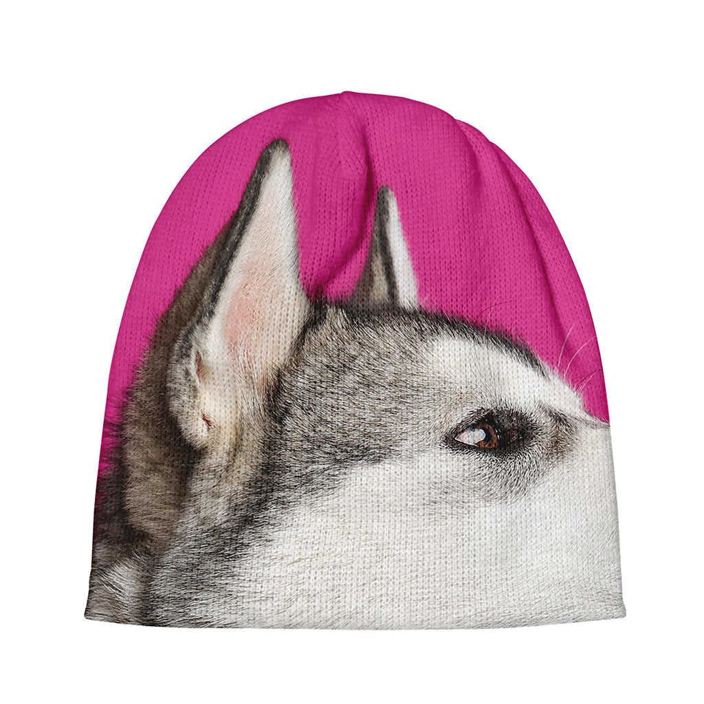 Cute Alaskan Malamute Print Beanie