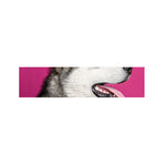 Cute Alaskan Malamute Print Bed Runner
