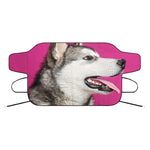 Cute Alaskan Malamute Print Car Windshield Snow Cover