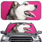 Cute Alaskan Malamute Print Car Windshield Sun Shade