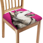 Cute Alaskan Malamute Print Chair Cushion Cover