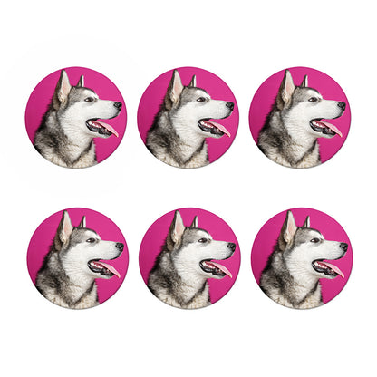 Cute Alaskan Malamute Print Coaster Set