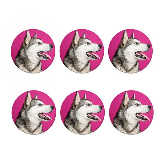 Cute Alaskan Malamute Print Coaster Set