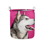 Cute Alaskan Malamute Print Collapsible Laundry Basket