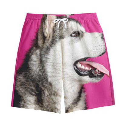 Cute Alaskan Malamute Print Cotton Shorts