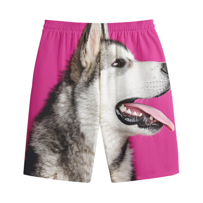 Cute Alaskan Malamute Print Cotton Shorts