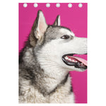 Cute Alaskan Malamute Print Curtain