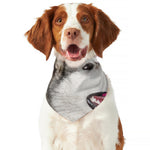 Cute Alaskan Malamute Print Dog Bandana
