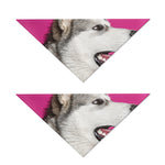 Cute Alaskan Malamute Print Dog Bandana