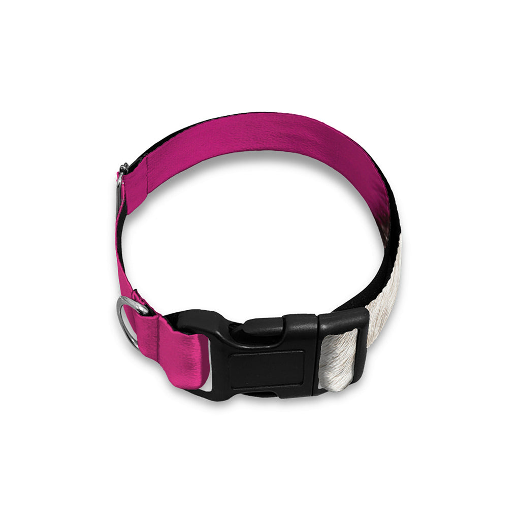Cute Alaskan Malamute Print Dog Collar