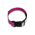 Cute Alaskan Malamute Print Dog Collar