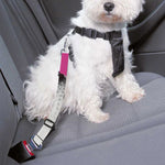 Cute Alaskan Malamute Print Dog Seat Belt