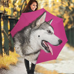 Cute Alaskan Malamute Print Foldable Umbrella