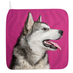 Cute Alaskan Malamute Print Hand Towel