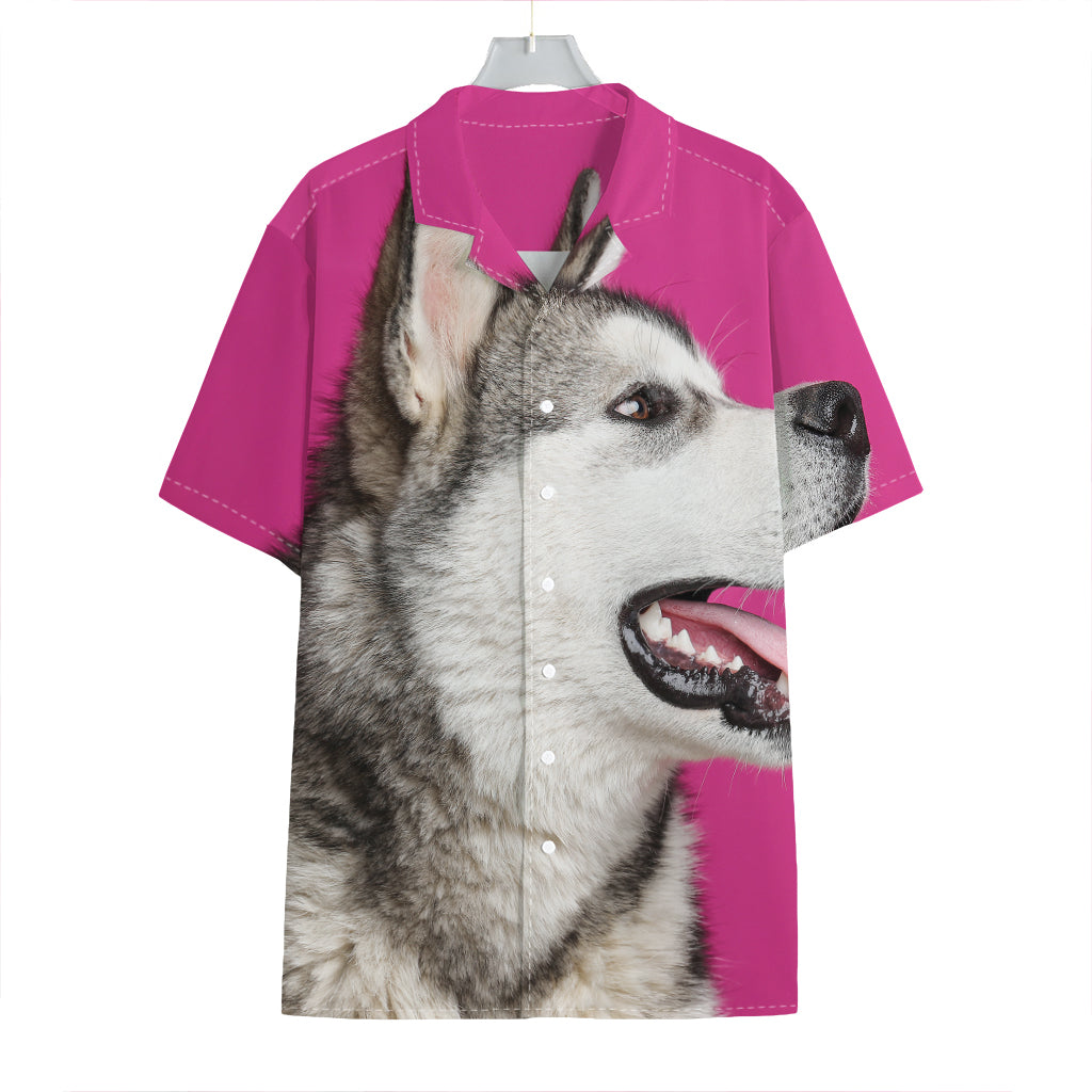Cute Alaskan Malamute Print Hawaiian Shirt