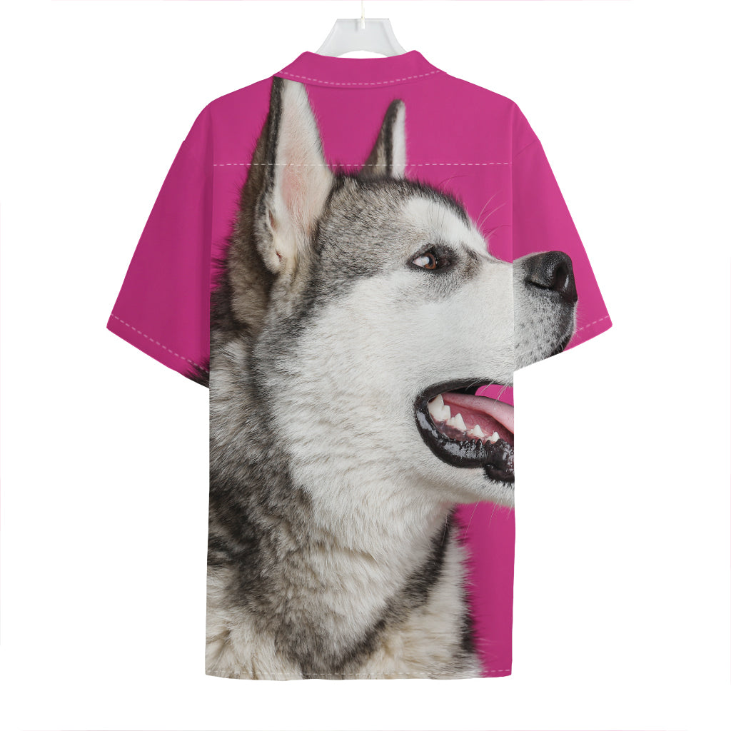 Cute Alaskan Malamute Print Hawaiian Shirt