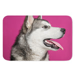 Cute Alaskan Malamute Print Indoor Door Mat
