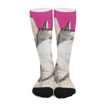 Cute Alaskan Malamute Print Long Socks