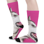 Cute Alaskan Malamute Print Long Socks