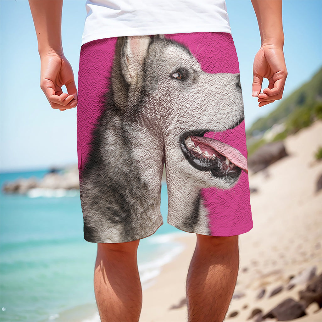 Cute Alaskan Malamute Print Men's Cargo Shorts