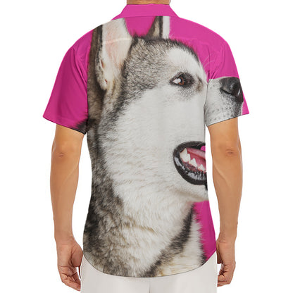 Cute Alaskan Malamute Print Men's Deep V-Neck Shirt