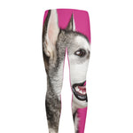 Cute Alaskan Malamute Print Men's leggings