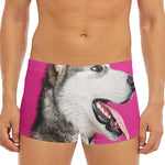 Cute Alaskan Malamute Print Men's Short Boxer Briefs