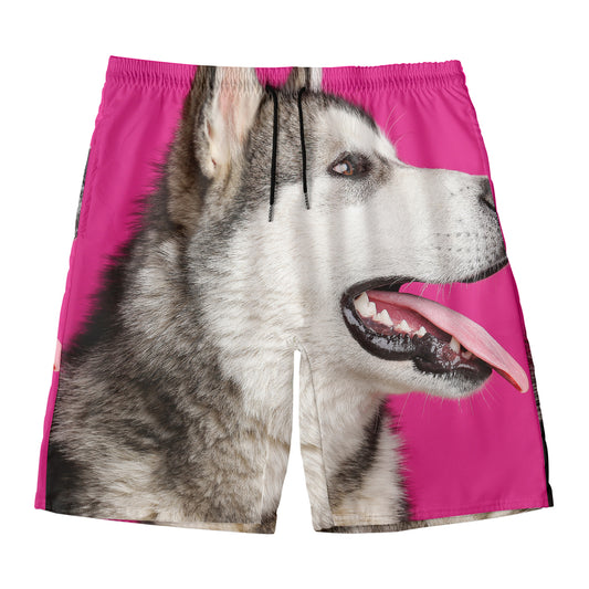 Cute Alaskan Malamute Print Men's Swim Trunks