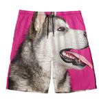 Cute Alaskan Malamute Print Men's Swim Trunks