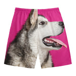 Cute Alaskan Malamute Print Men's Swim Trunks