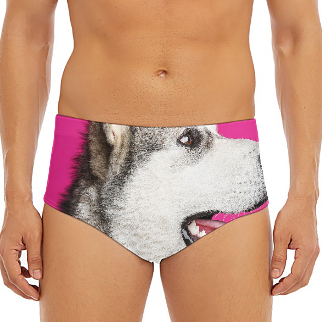 Cute Alaskan Malamute Print Men's Triangle Swim Briefs