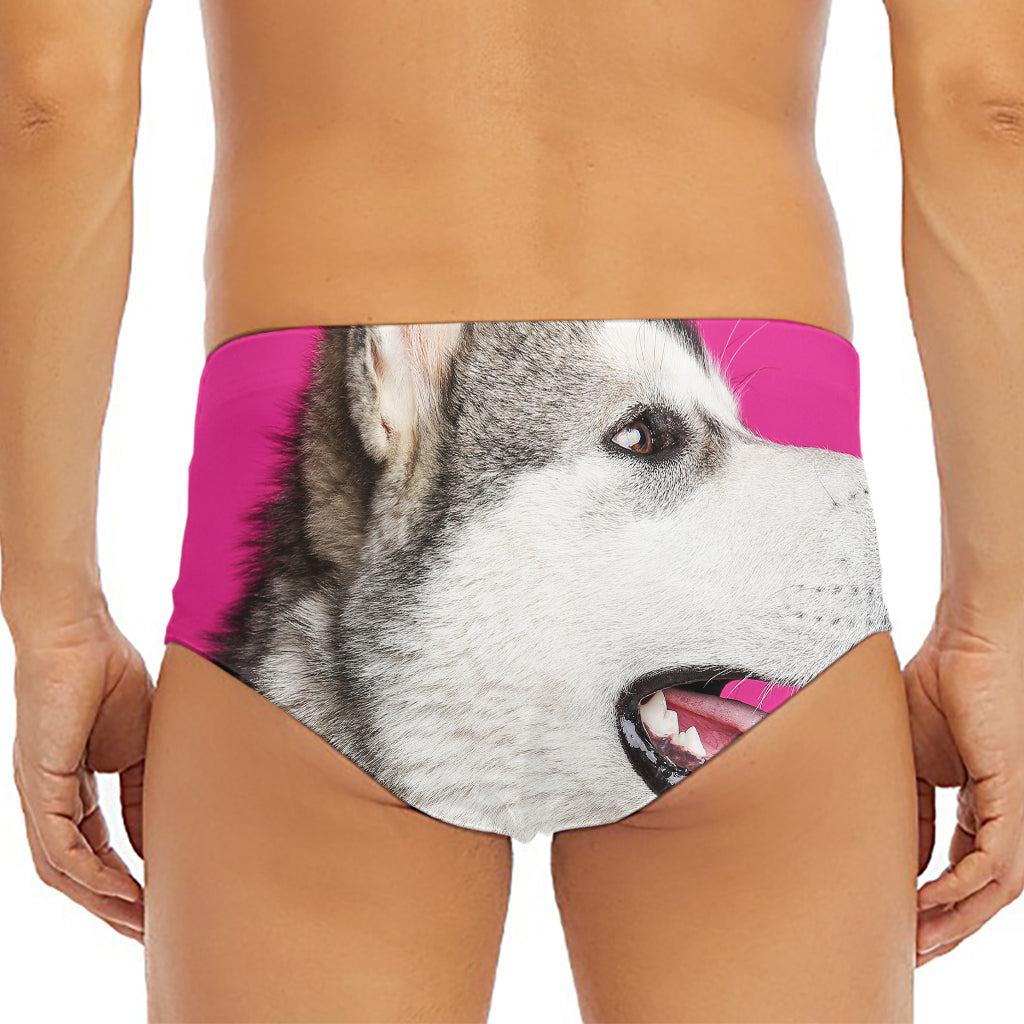 Cute Alaskan Malamute Print Men's Triangle Swim Briefs