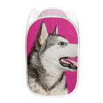 Cute Alaskan Malamute Print Mesh Laundry Hamper