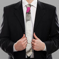 Cute Alaskan Malamute Print Necktie