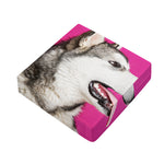 Cute Alaskan Malamute Print Outdoor Seat Cushion Cover