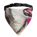 Cute Alaskan Malamute Print Over The Collar Dog Bandana