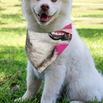 Cute Alaskan Malamute Print Over The Collar Dog Bandana