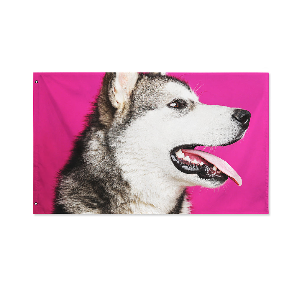 Cute Alaskan Malamute Print Polyester Flag