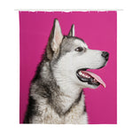 Cute Alaskan Malamute Print Polyester Shower Curtain