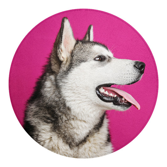 Cute Alaskan Malamute Print Round Blanket
