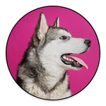 Cute Alaskan Malamute Print Round Floor Mat