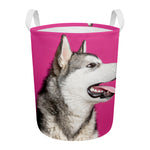 Cute Alaskan Malamute Print Round Laundry Basket