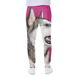 Cute Alaskan Malamute Print Scuba Joggers