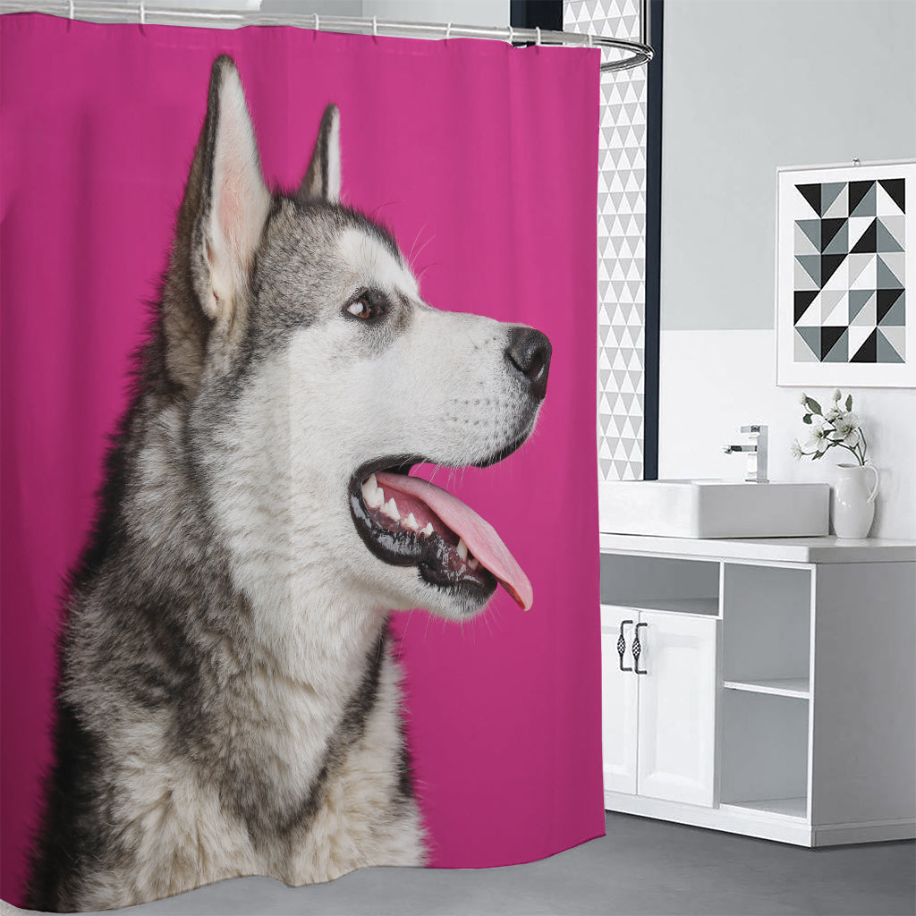 Cute Alaskan Malamute Print Shower Curtain