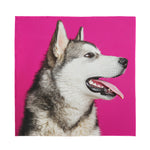Cute Alaskan Malamute Print Silk Bandana